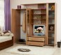 Мебель для гостиной «Спарта-2»